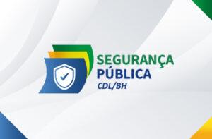 Conselho Segurança pública